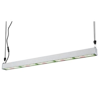 SunStream 250 Watt Broad Spectrum LED Indoor Horticultural Fixture