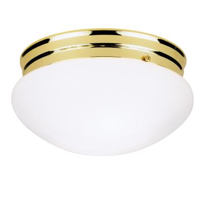 Two-Light Indoor Flush-Mount Ceiling Fixture