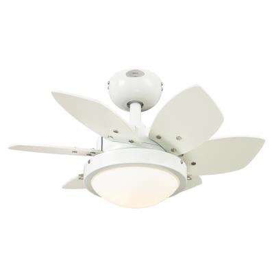 Quince 24-Inch Indoor Ceiling Fan with Dimmable LED Light Fixture